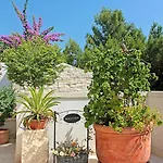 Apartment Ankora Makarska