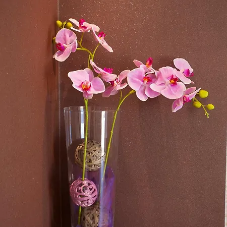 アパート Ankora マカルスカ