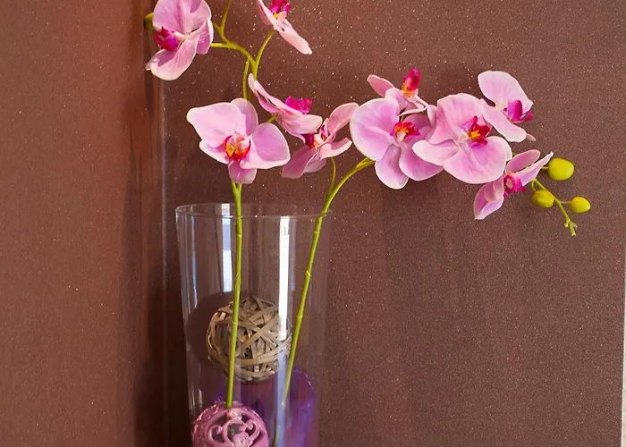 Апартаменти Ankora Макарська